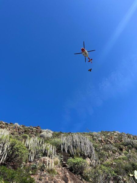 Heli-Rettung auf Gran Canaria nach Gleitschirm-Unfall