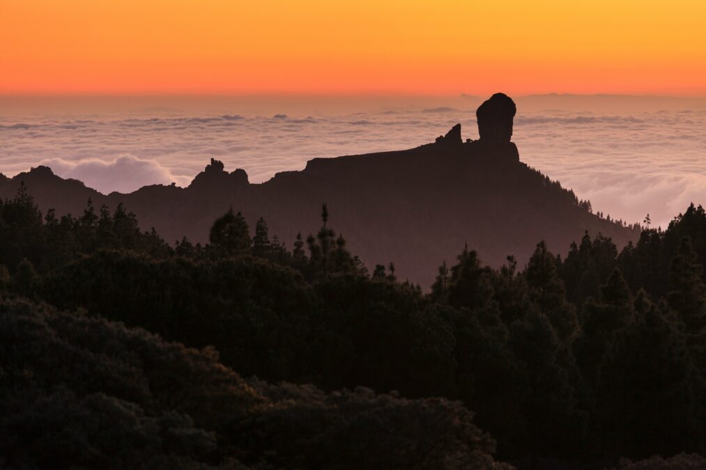 Gran Canaria Nachrichten PH 2