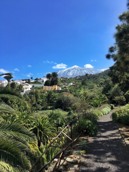 Teneriffa Nachrichten PH 11